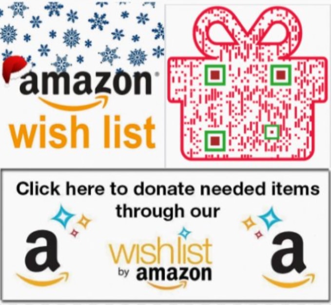 Donate via our Amazon Wish List